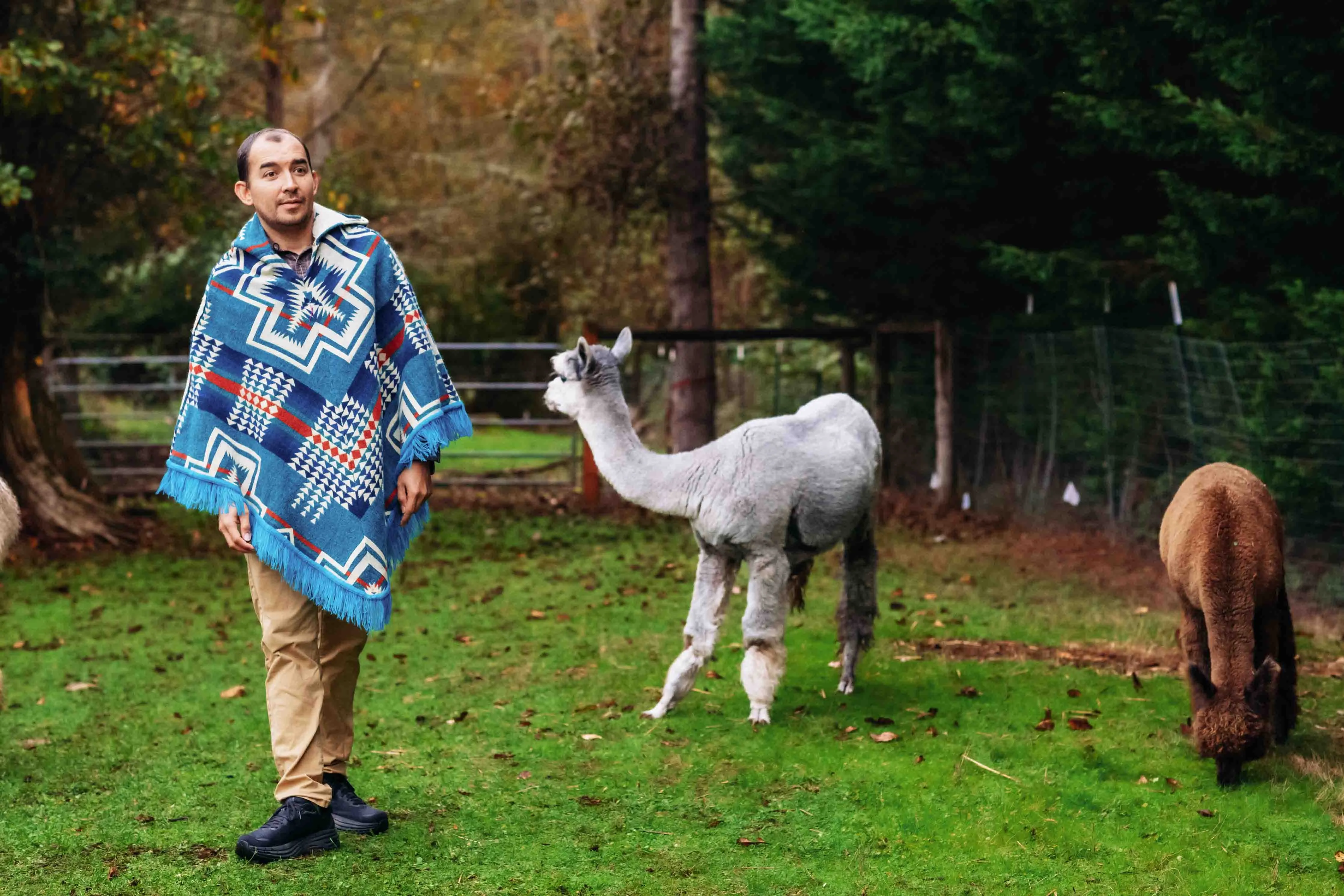 San Borjas - Azul - Alpaca Poncho with Native Pattern Triangular Design